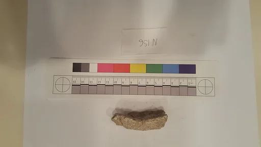 Stucco Fragment