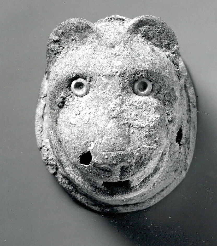 Head of a lion — Unknown