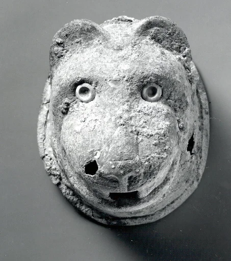 Head of a lion