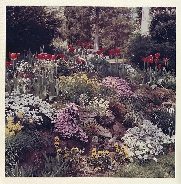 Garden - Pittsfield, New York — Peter Fink
