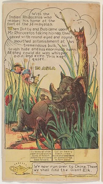 Indian Rhinoceros, Asia, collector card from the Dotty, Bob and Trix Cards series (D27), issued by the Pryor Baking Company — Pryor Baking Company