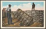 Bales of Cotton ready for Shipment. — Unknown