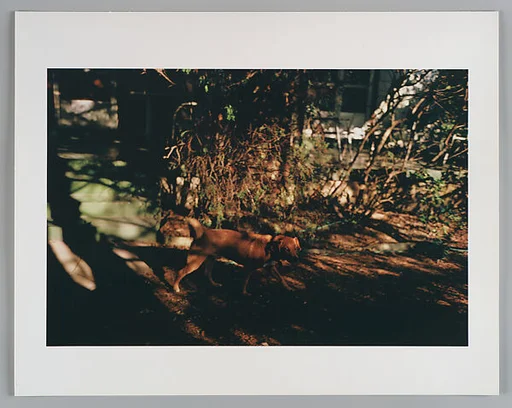 Untitled