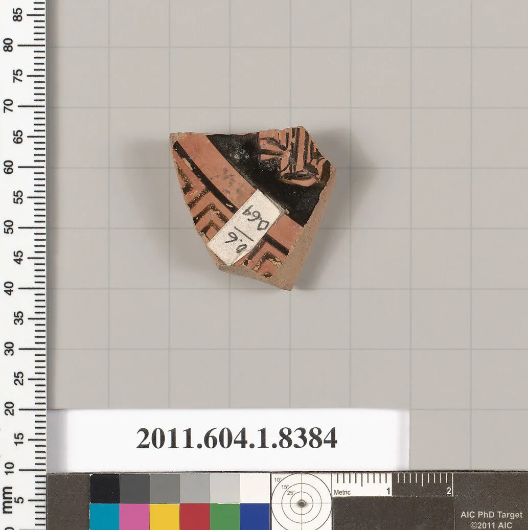 Terracotta fragment of a kylix (drinking cup) — Unknown