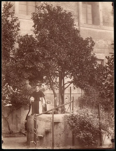 [St. Domenic's Orange Tree on the Aventine]