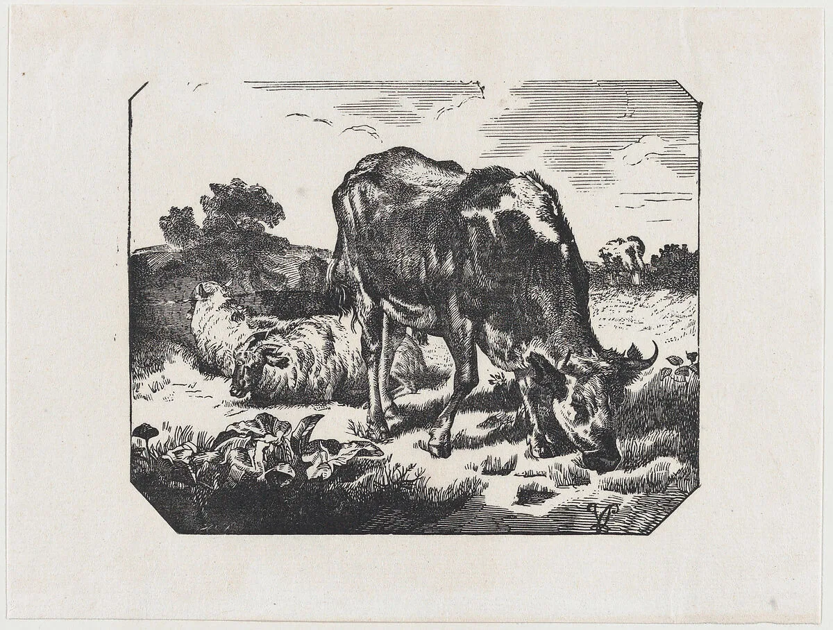 Bull and sheep in a pasture — Anonymous, Mexican