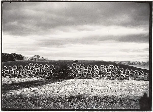 Heart's Brook Farm, Hadley, Massachusetts — Bill Arnold