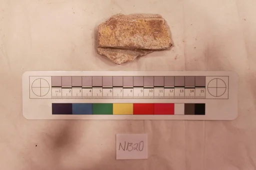 Stucco Fragment