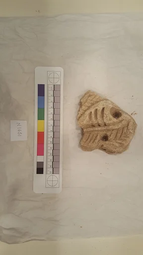 Stucco Fragment