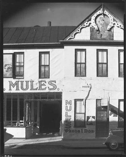 [Detail of Lum Brothers Stables Façade, Natchez, Mississippi]