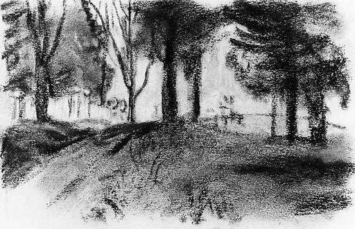 Pine Woods