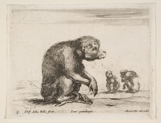 Seated monkey, plate 3 from "Various Animals" (Diversi Animali)