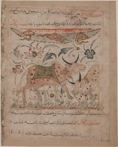 "Oxen amongst Foliage", Folio from a Manafi' al-Hayawan (On the Usefulness of Animals) of Ibn Bakhtishu'