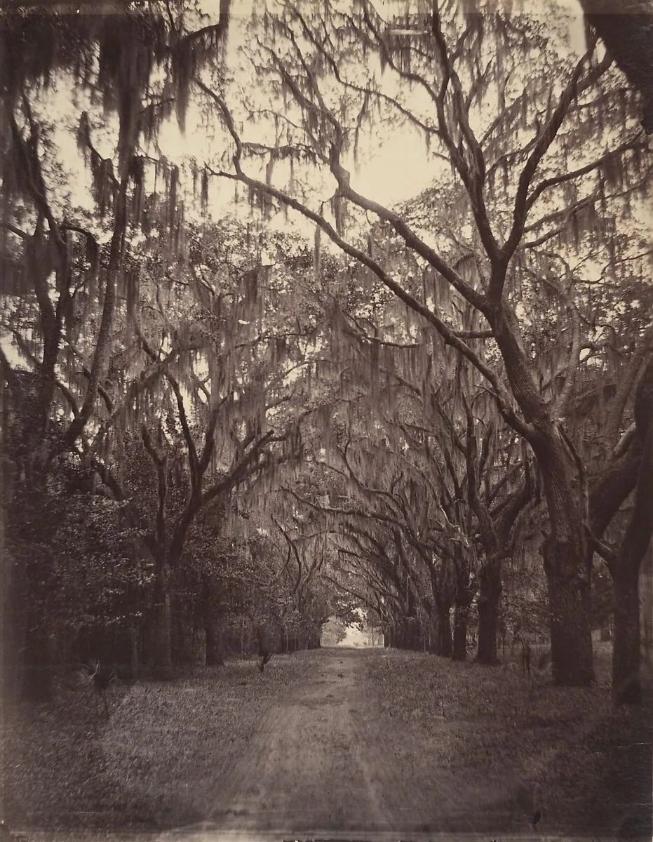 Bonaventure Cemetery, Four Miles from Savannah — George N. Barnard