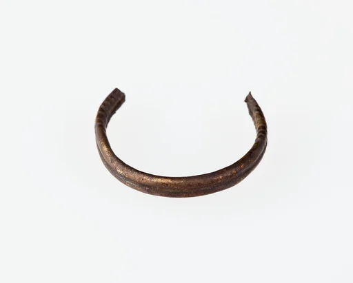 Fragment of a ring