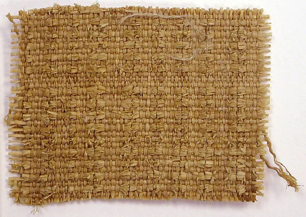 Panel Fragment — Unknown