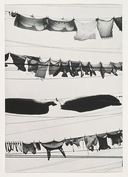 Wash Day — Walker Evans