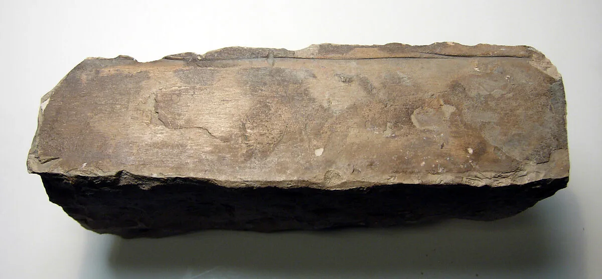 Raised relief fragment — Unknown