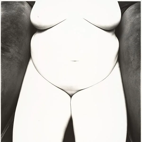 Nude No. 93 — Irving Penn