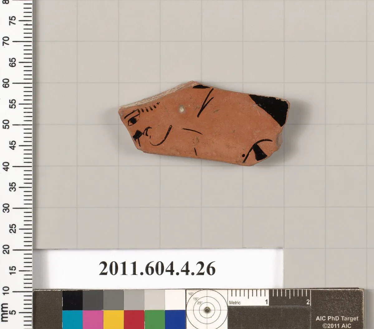Terracotta fragment of a kylix (drinking cup) — Unknown