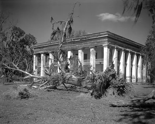 [Belle Helene Plantation House with Uprooted Tree in Foreground, Louisiana]