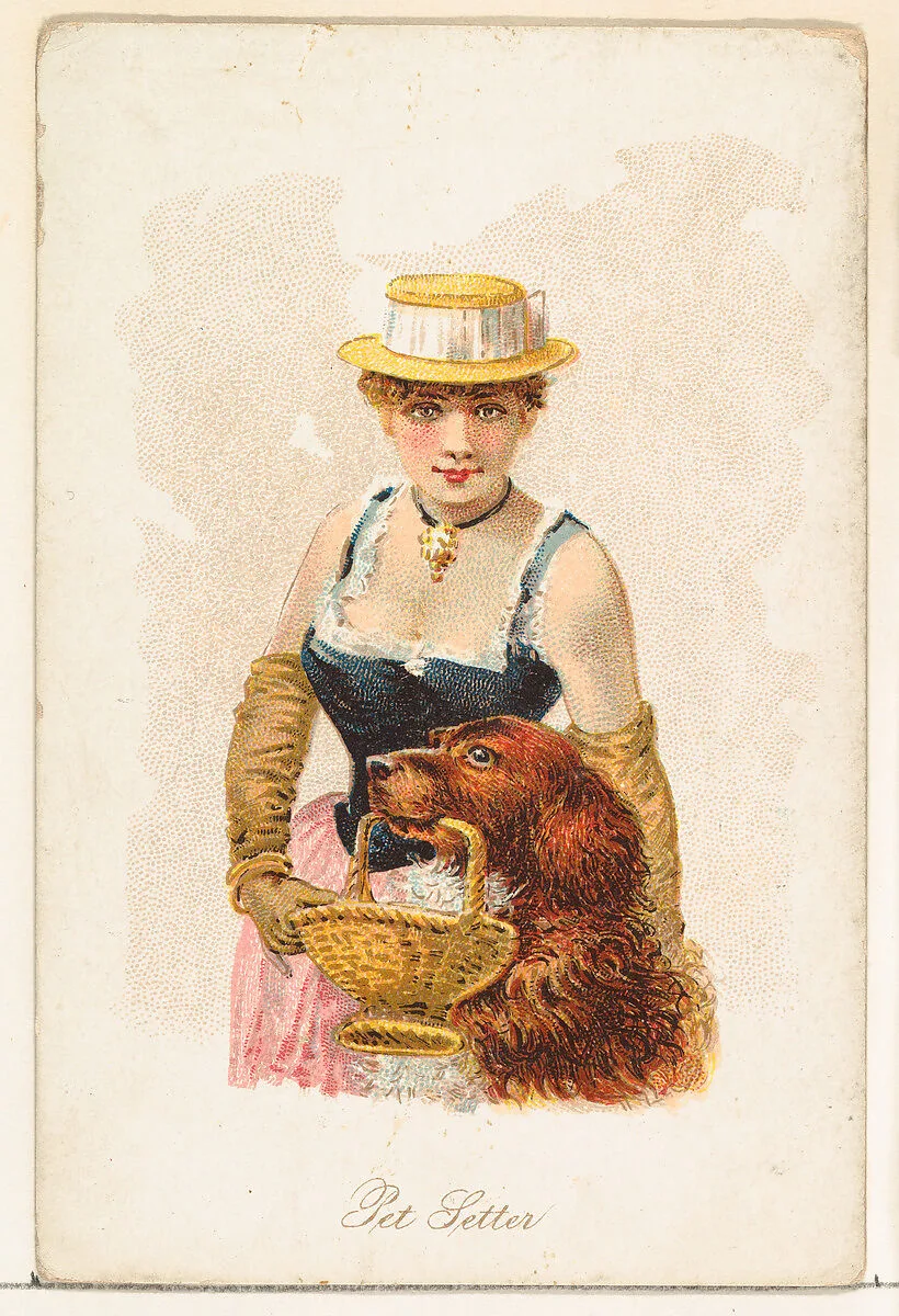 Pet Setter, from the Household Pets series (N194) issued by Wm. S. Kimball & Co. — William S. Kimball & Company|American Tobacco Company|Julius Bien & Co.
