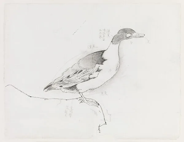 現代 謝稚柳 鴨圖 鏡片|Duck — Xie Zhiliu