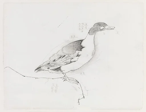 現代 謝稚柳 鴨圖 鏡片|Duck