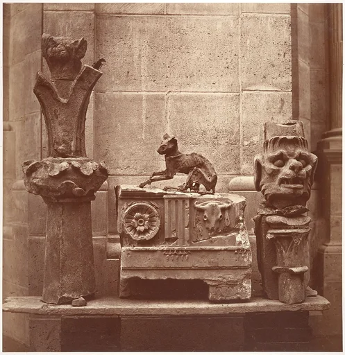 Le Chat Momifié (trouvé dans les fouilles de Saint-Germain-en-Laye)