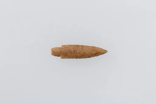 Projectile Point