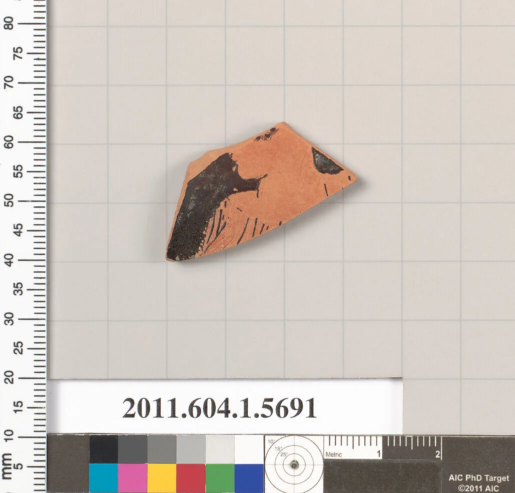 Terracotta fragment of a kylix (drinking cup) — Unknown
