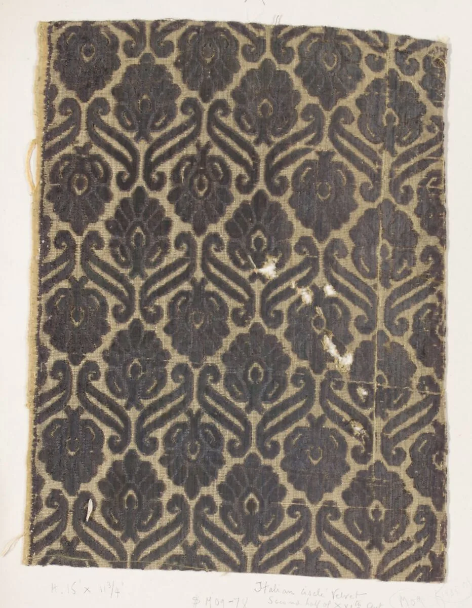Fragment — Unknown