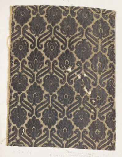 Fragment