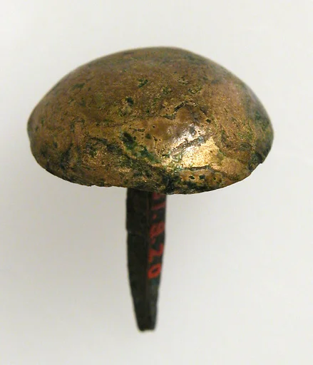 Nail