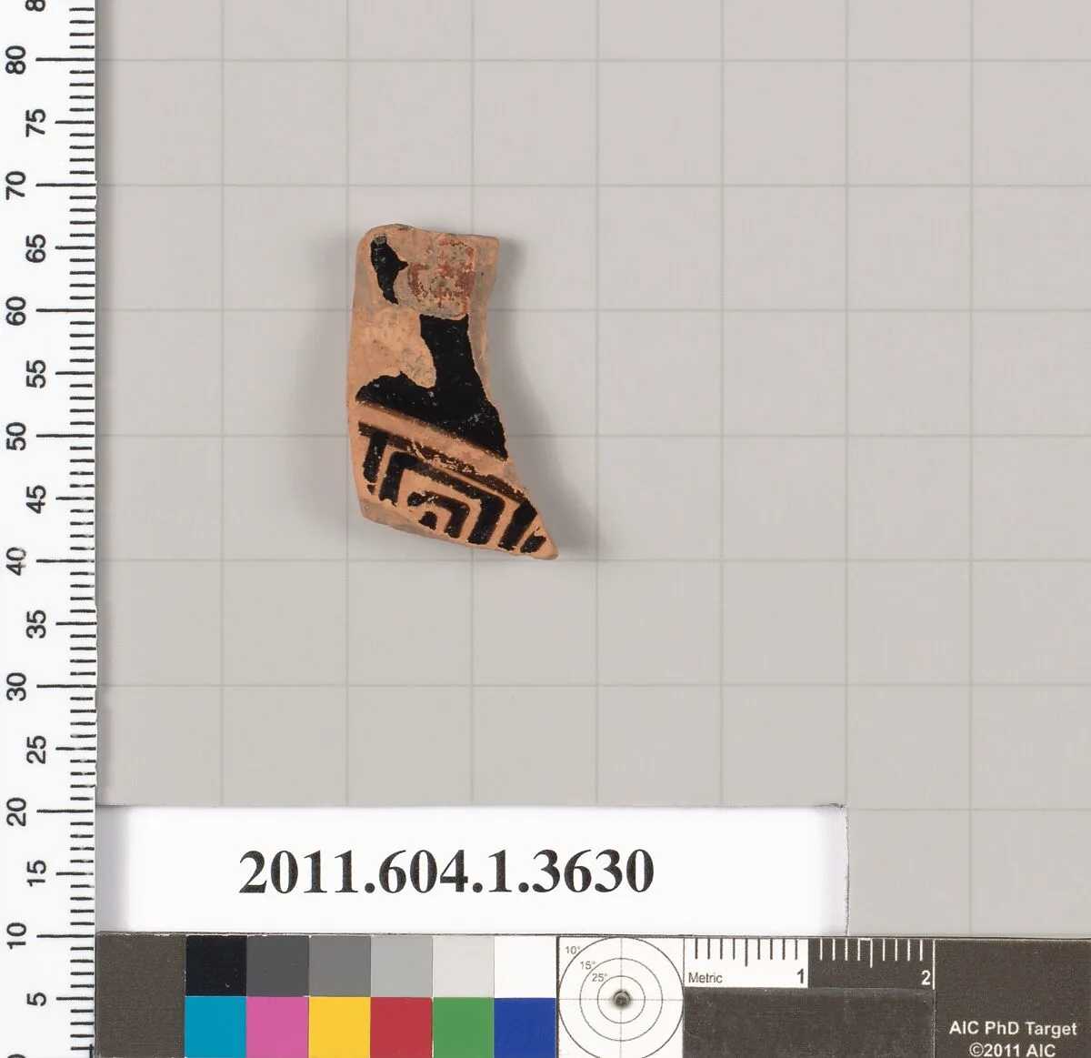 Terracotta fragment of a kylix (drinking cup) — Unknown