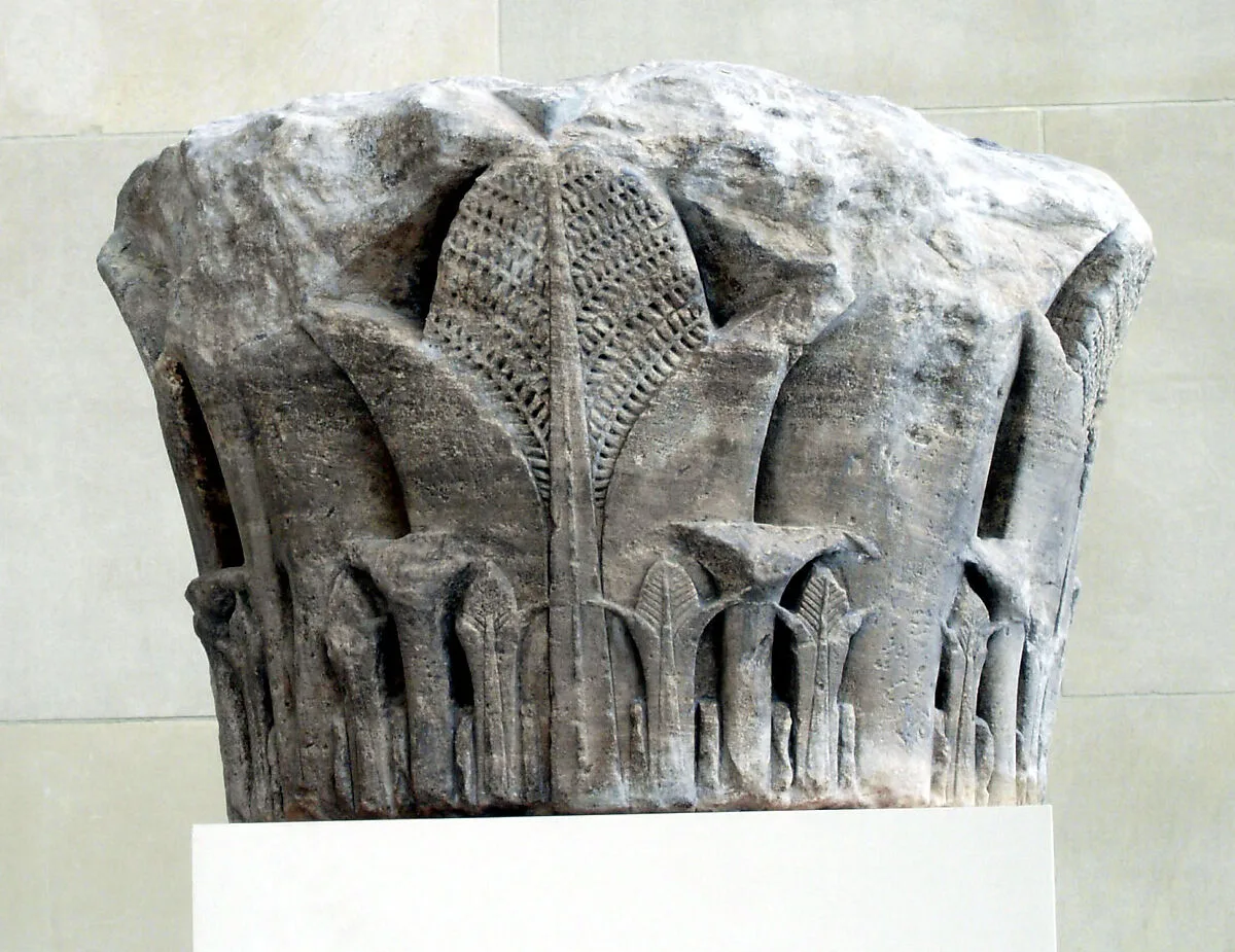 Column Capital — Unknown
