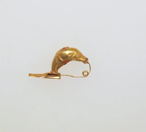 Fibula, bow-shaped