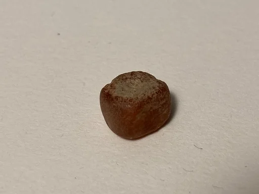 Bead