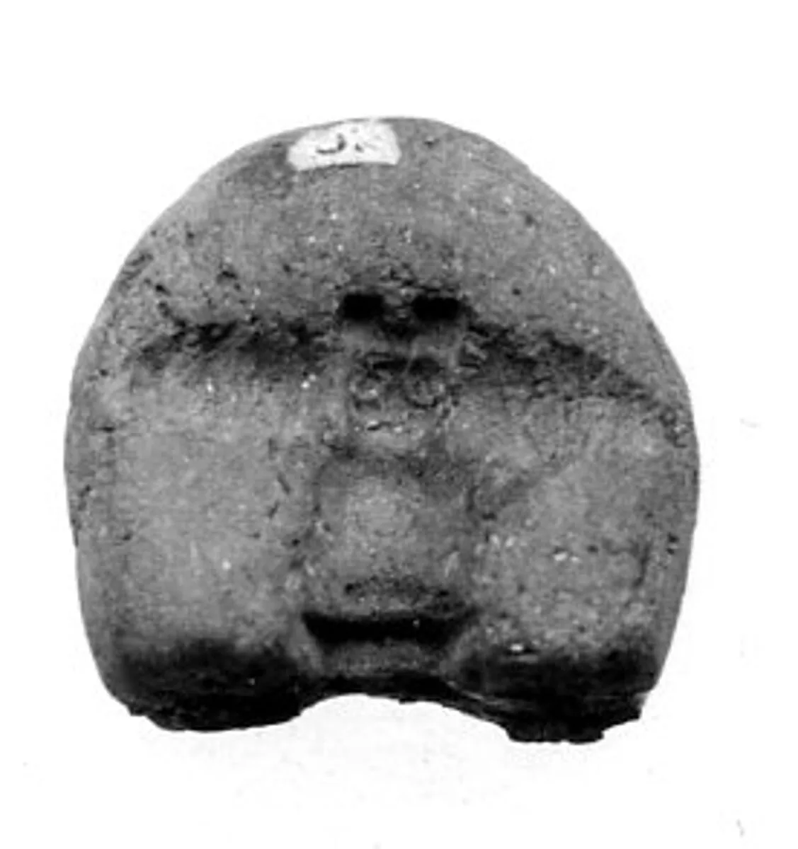 Mold — Unknown