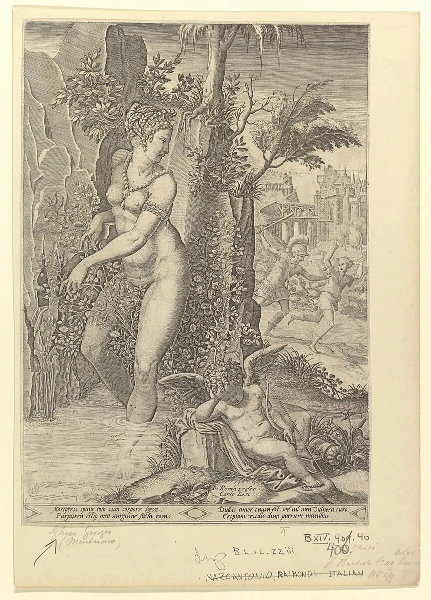 Venus Pricked by the Thorns of a Rose Bush; Cupid Asleep in the Foreground — Giorgio Ghisi|Luca Penni