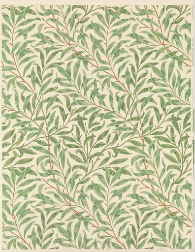 Willow Bough
