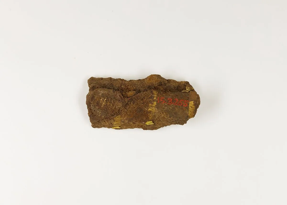 Gold Foil on Wrist — Unknown