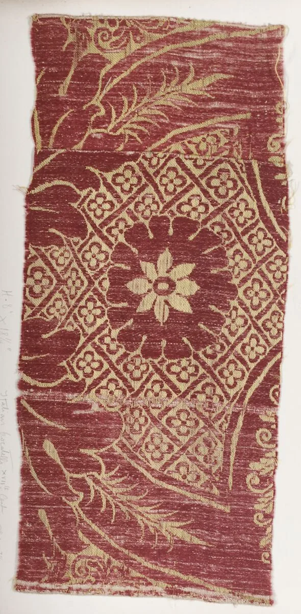 Fragment — Unknown