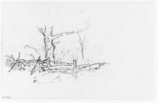 Trees behind a Fence (from Sketchbook)