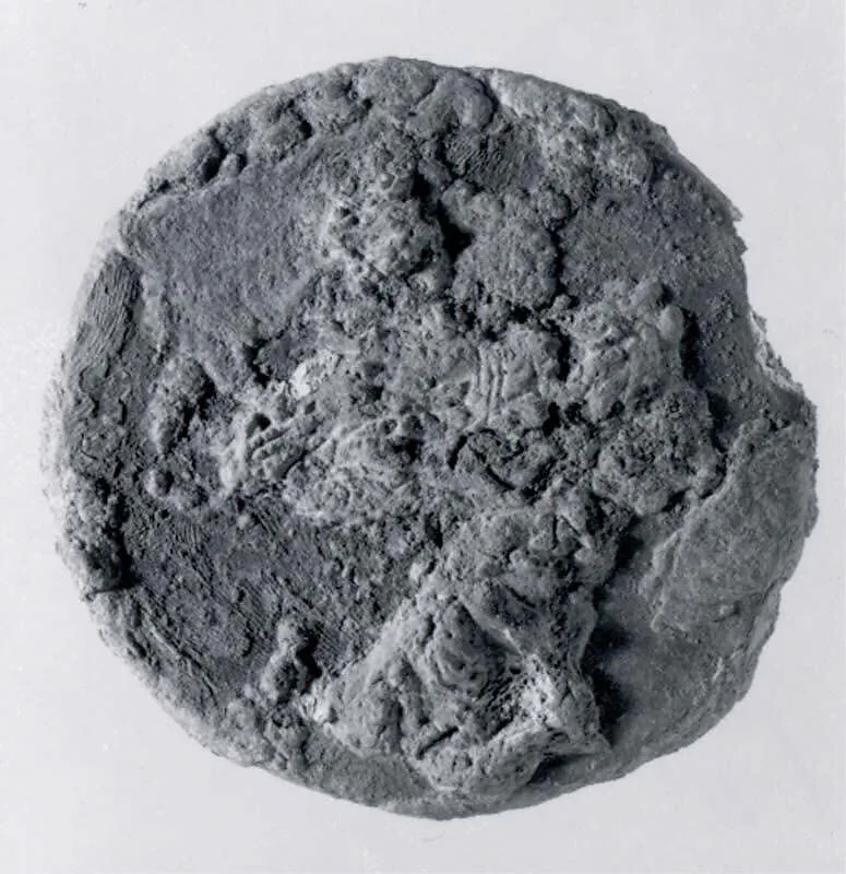 Dish — Unknown