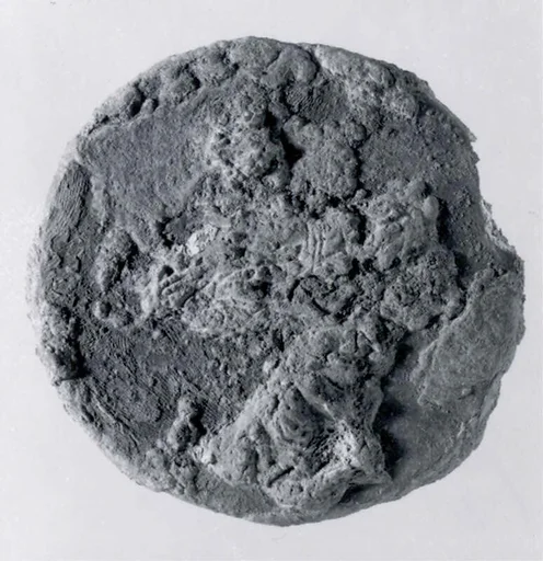 Dish