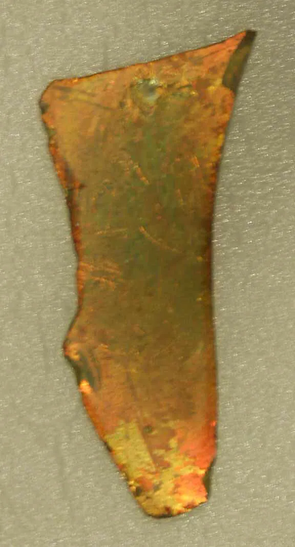 Fragment — Unknown