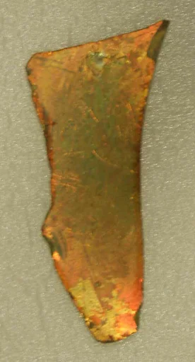 Fragment