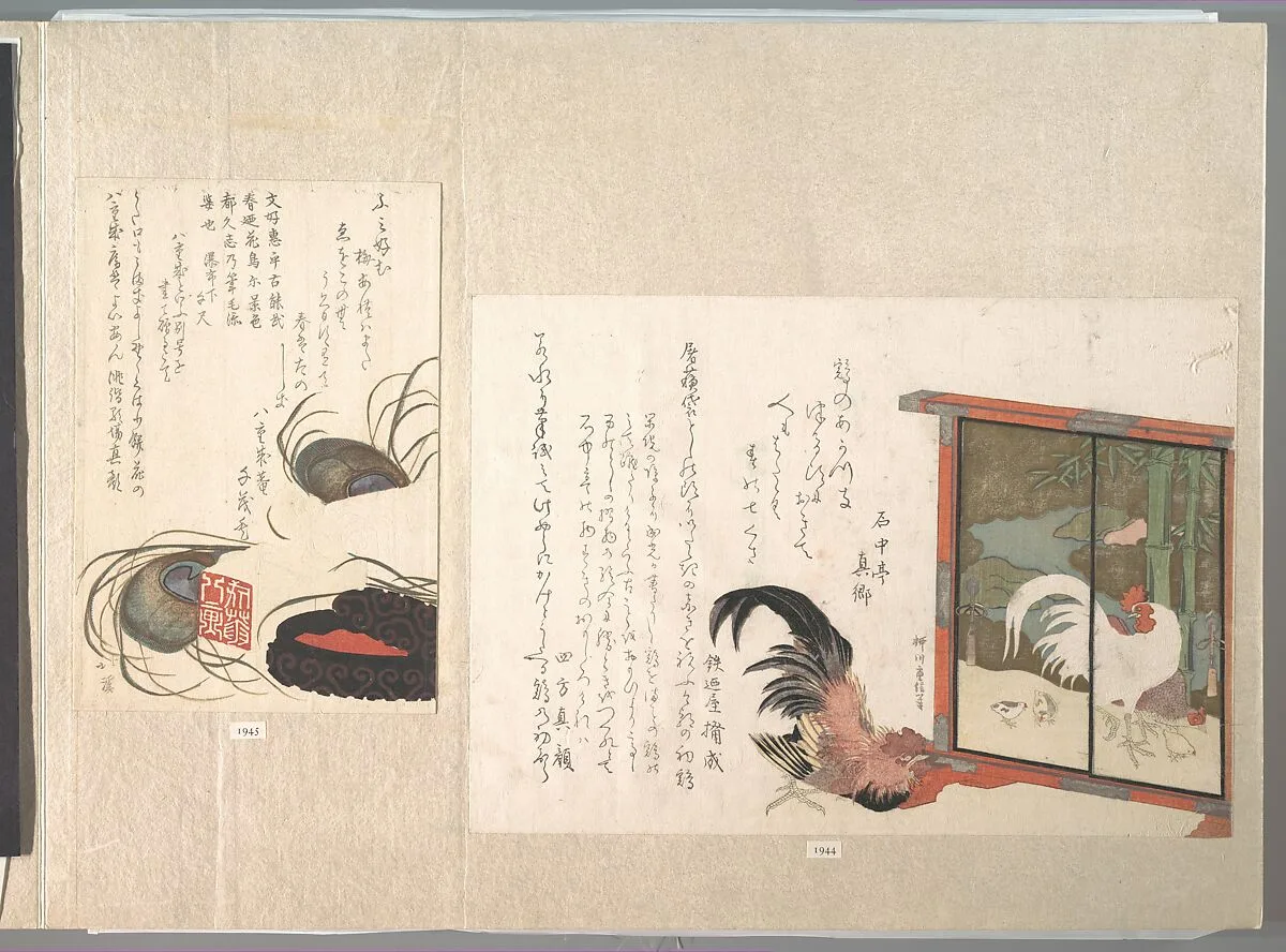 鶏図衝立を見る鶏|Cock Eyeing a Free-standing Screen Painted with Cock, Hen, and Chicks, from Spring Rain Surimono Album (Harusame surimono-jō), vol. 1 — Yanagawa Shigenobu