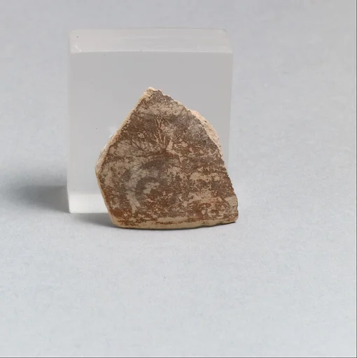 Vase fragment
